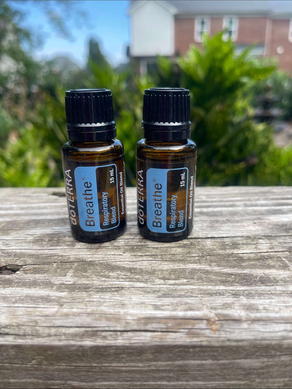 DoTerra Breathe essential oil set-new